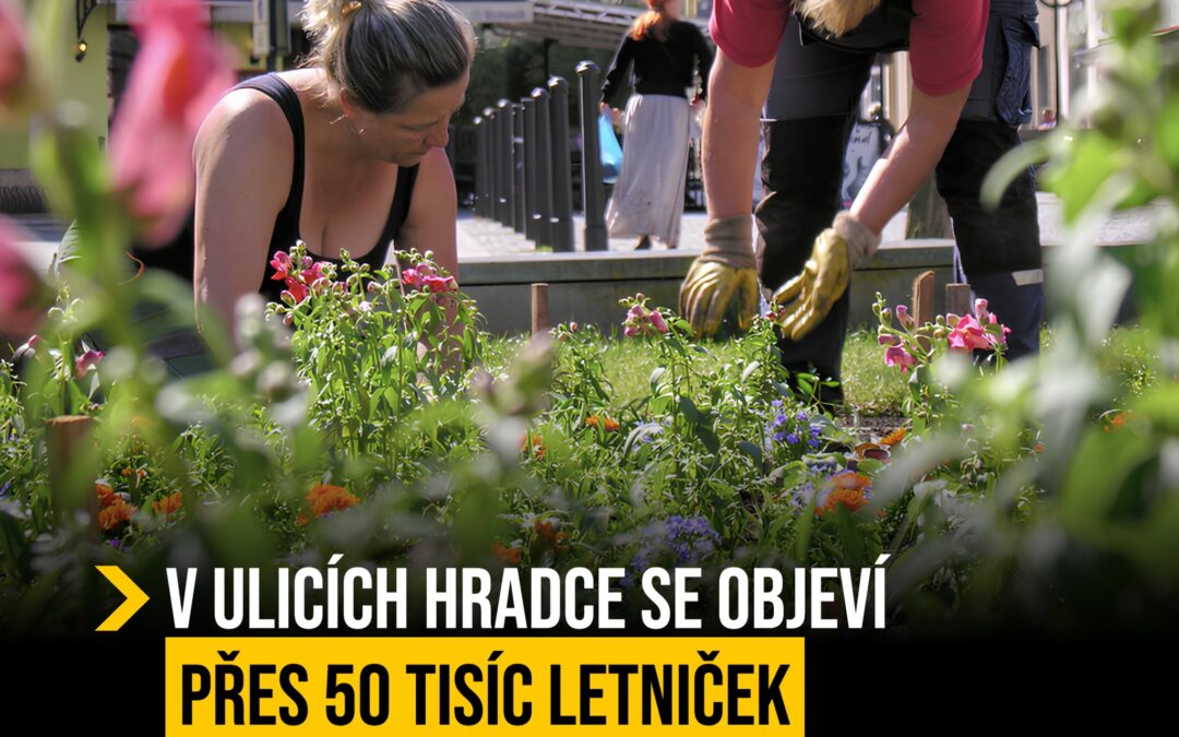 V ulicích se objeví přes 50 tisíc letniček